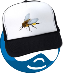 _images/beehat.png